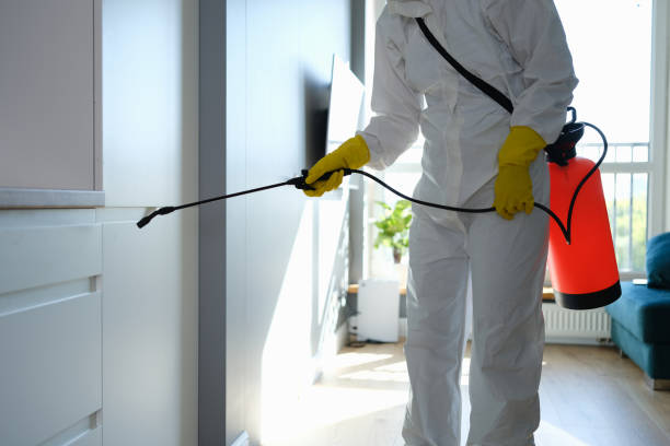 Mold Remediation for Rental Properties in Wallis, TX